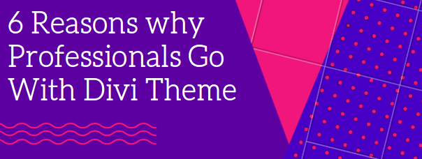 reasons_why_divi-theme1